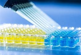 Immunoassays