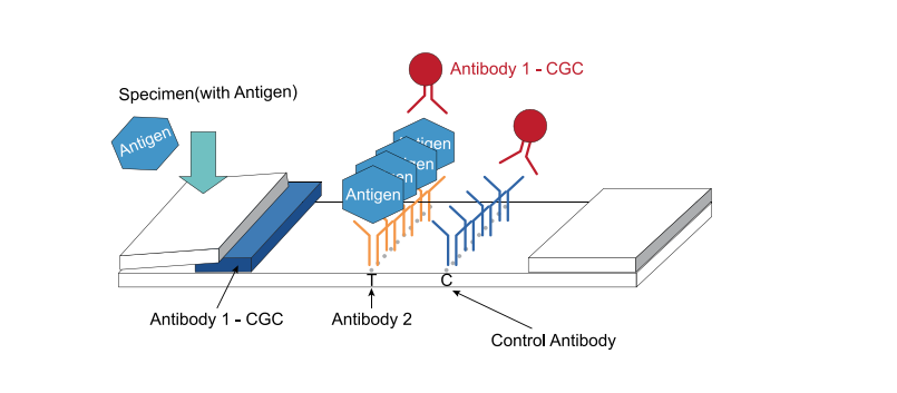 Covid-19 Antigen Self-test Kit