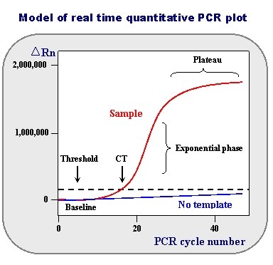 qPCR Plot