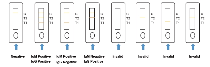 Covid-19 Antibody Self-test Kit