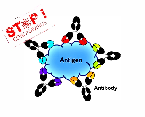 Why Covid-19 Antibody Test