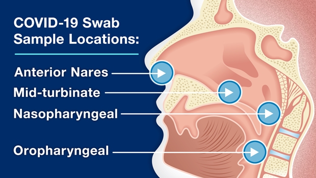 COVID-19 Test & Specimen Types