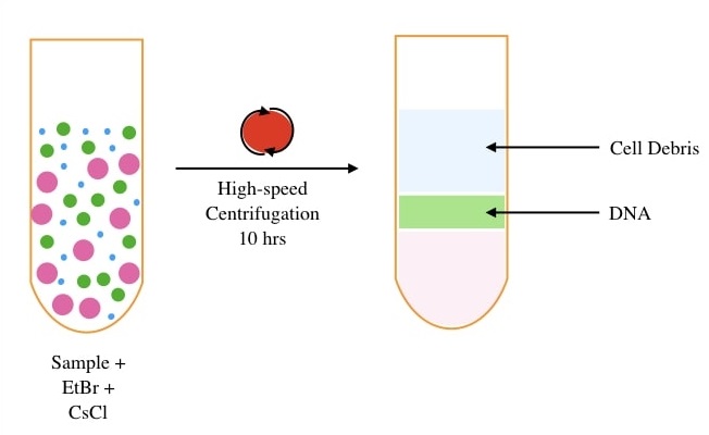 invitroal nucleic acid extractor