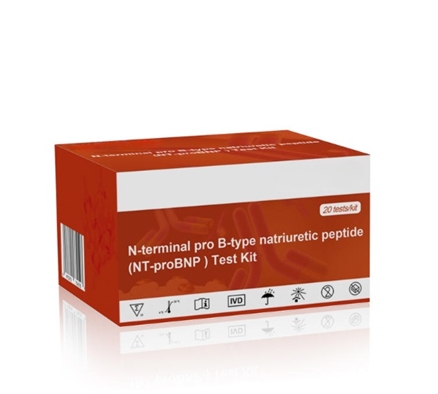 N-terminal-pro-B-type-natriuretic-peptide-NT-proBNP-KIA-Test-Kit
