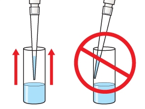 automatic saple dispensing workstation