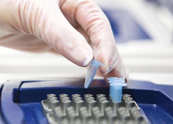 Real-Time Quantitative Thermal Cycler